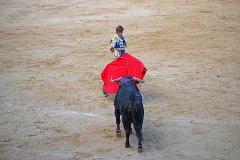 Тореро на арене в Барселоне фото