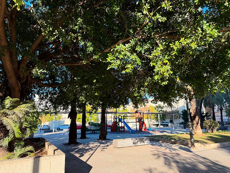Тенистая парковая зона с большими деревьями и детской площадкой на заднем плане в районе Кабаньял (Валенсия).
