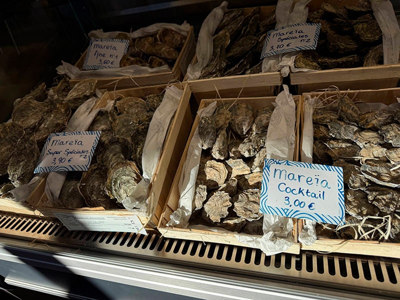 Ящики с устрицами на витрине рынка с ценниками Marea (cocktail и special) в районе Кабаньял (Валенсия).