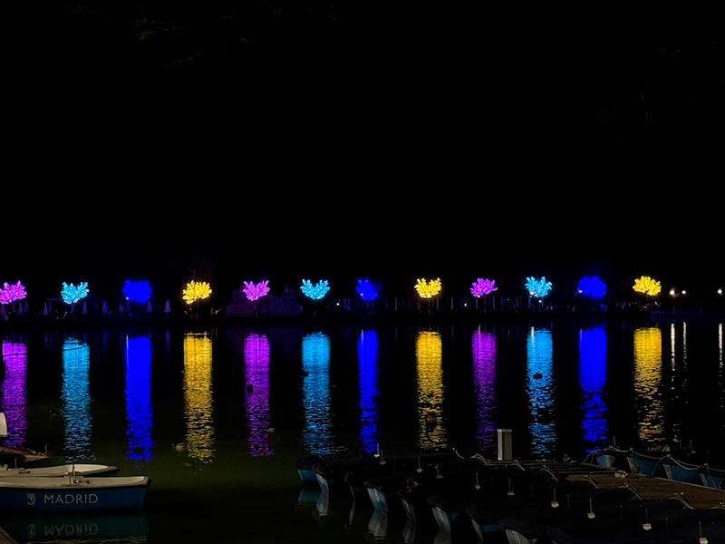 Цветная рождественская подсветка деревьев и отражения в воде на озере в парке Parque del Retiro в Мадриде ночью