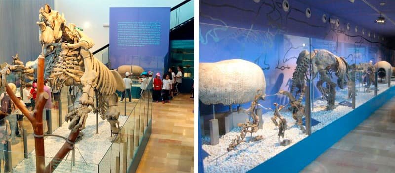 Городской музей палеонтологии