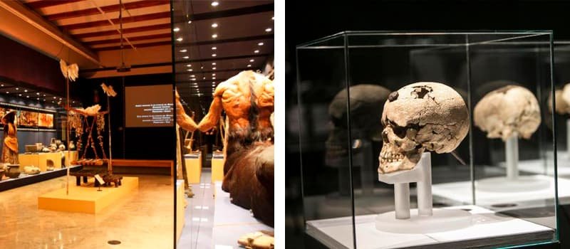 Музей доисторической эпохи и этнологии
