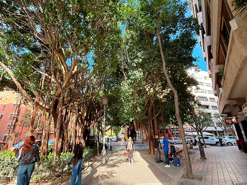 Район Patraix, Carrer de San Vicente Mártir y Carrer de Albacete