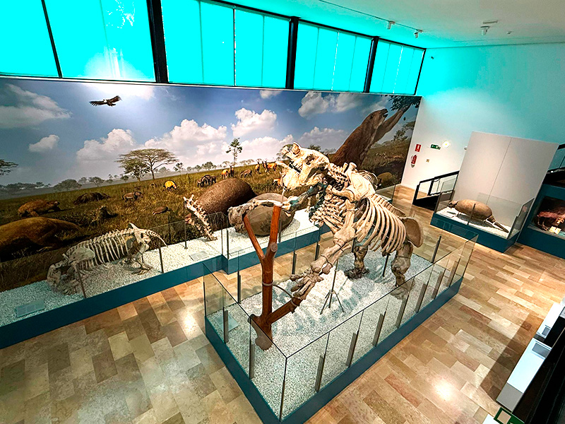 Археологический центр Almoina в центре Валенсии