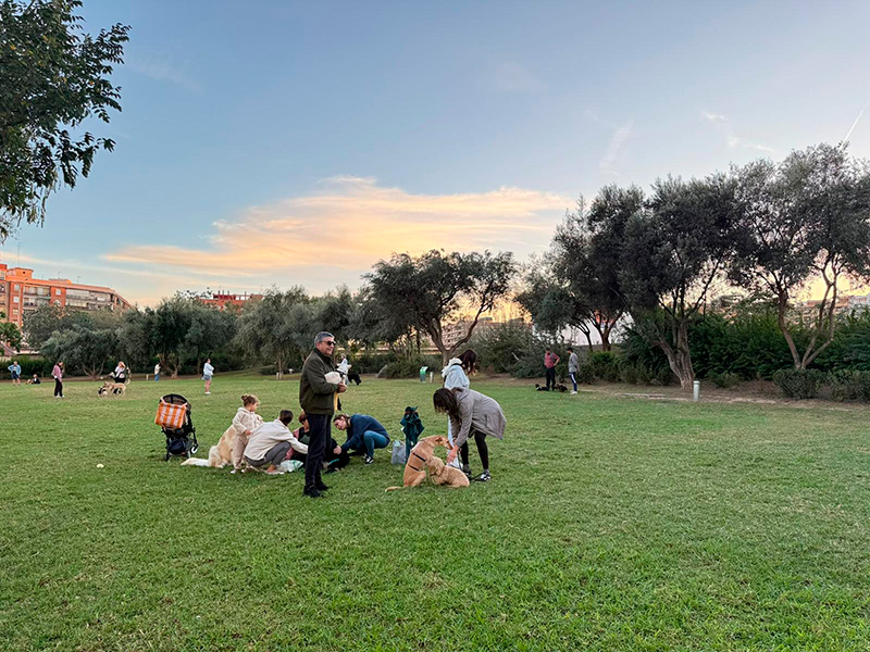 Parc Central Valencia