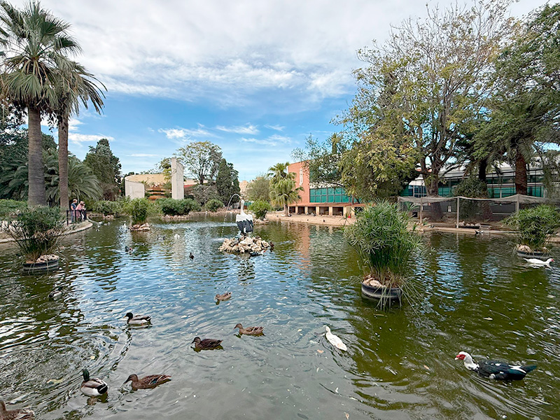 Парк Jardines del Real / Viveros, квартал La Saïdia, Валенсия