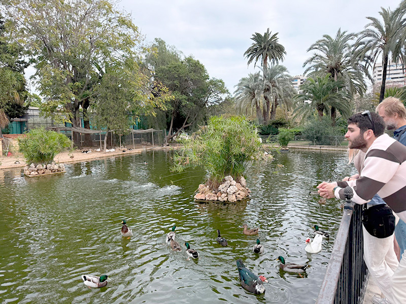 Парк Jardines del Real / Viveros, квартал La Saïdia, Валенсия