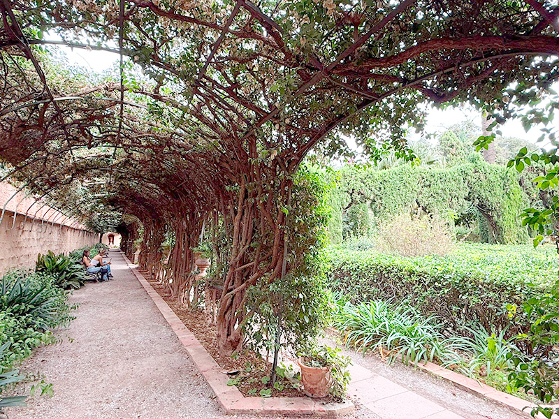 Парк Jardines Monforte, Pla del Real