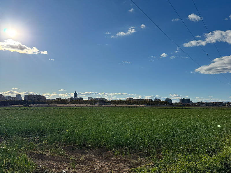 Поля валенсийской уэрты в Poblados del Norte: зелёные сельхозугодья на переднем плане и силуэт Валенсии вдали под ярким голубым небом.