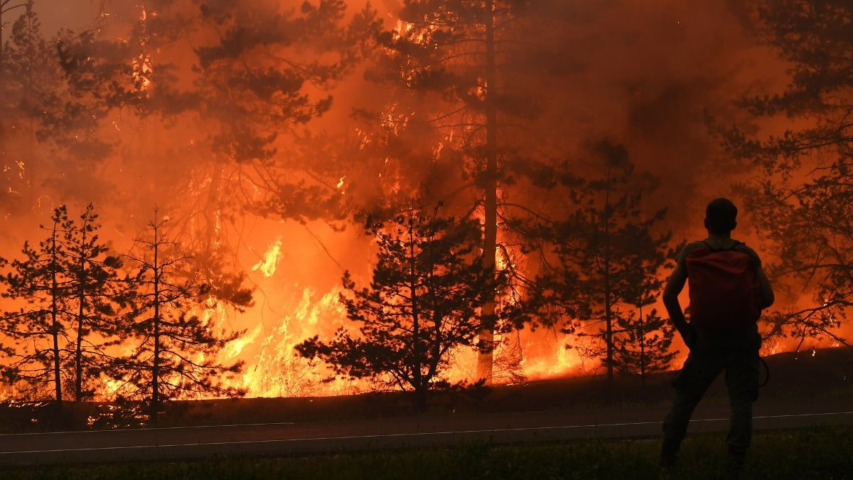 Масштабный лесной пожар в Валенсии фото