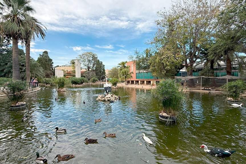 La Zaidía (La Saïdia) в Валенсии: гид по району – инфраструктура, кварталы, недвижимость, рекомендации инсайдеров фото