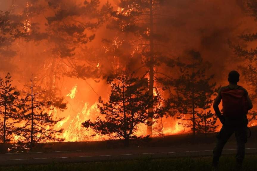 В Валенсии сгорело более 9.500 га леса фото