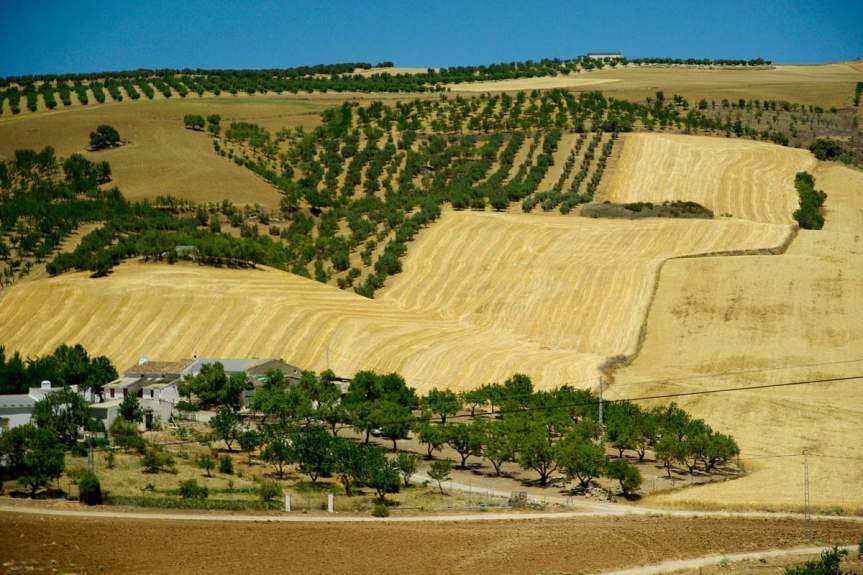 Аграрный сектор Испании потерял 8 млрд. евро из-за засухи фото
